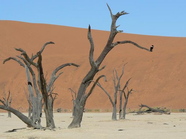 Sossusvlei, Namibia – Day 291