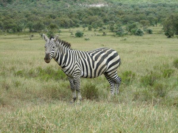 Lake Naivasha, Kenya – Day 156